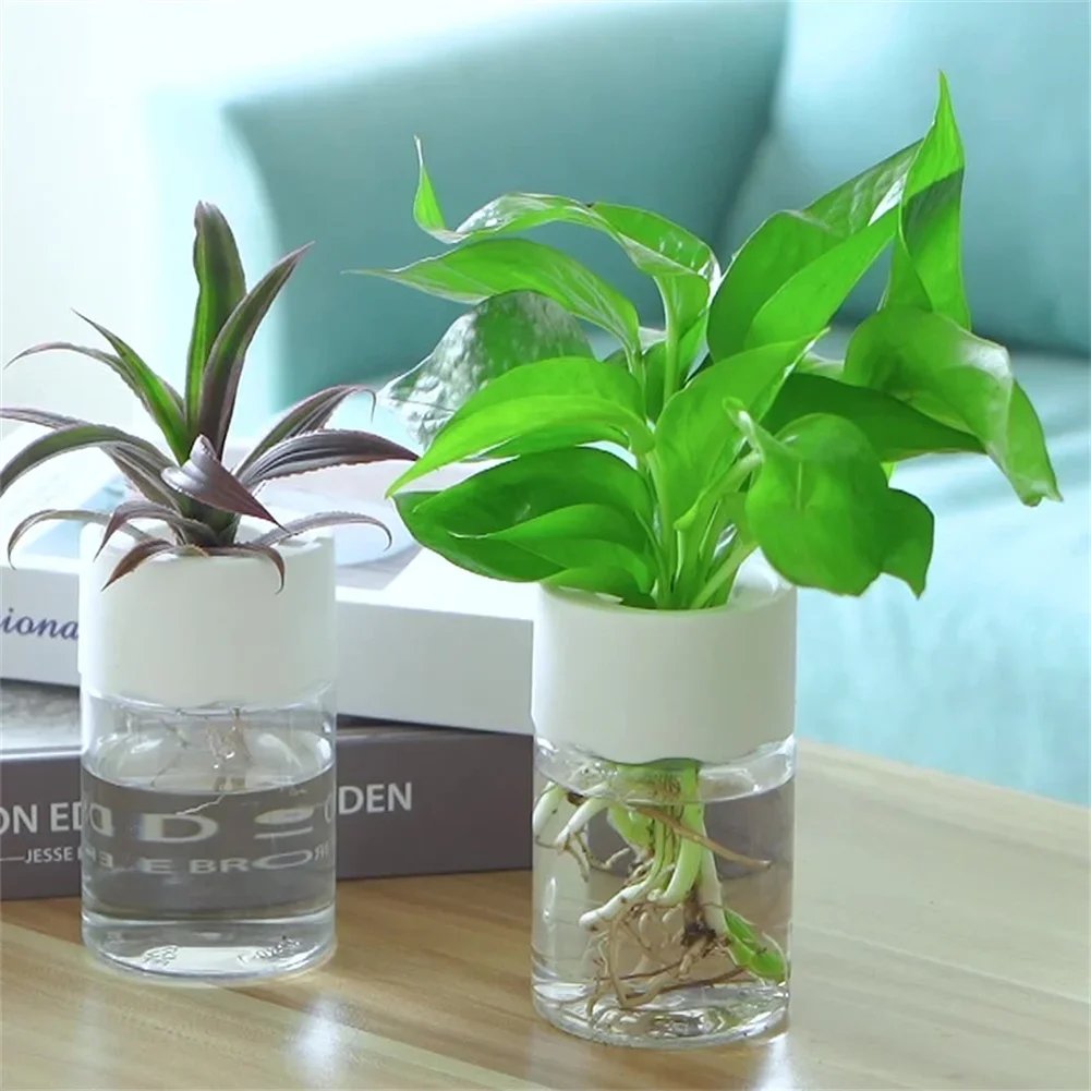 Plant Desk Mini - Mini Hydroponic Flower Pot Transparent Soilless