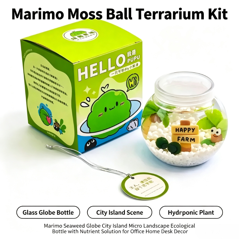Plant Desk Mini - Marimo Moss Ball Globe Terrarium Mini