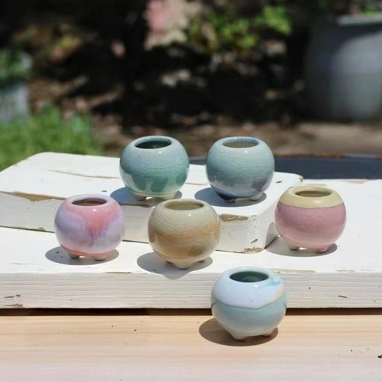 Plant Desk Mini - 6Pcs Mini Flowerpot Succulents Small Succulent