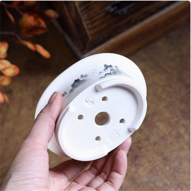 Porcelain White Oval Bonsai Po - Plant Desk Mini 评论和价格