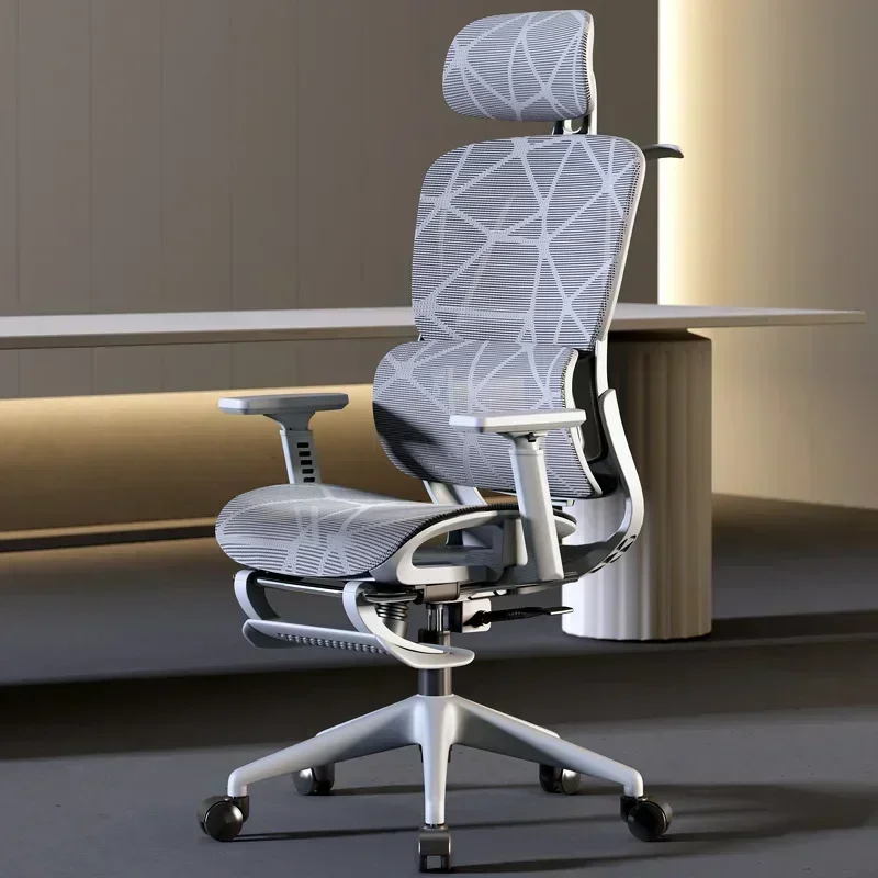 Stable Ergonomic Chair Home Co - Home Office Cozy 评论和价格