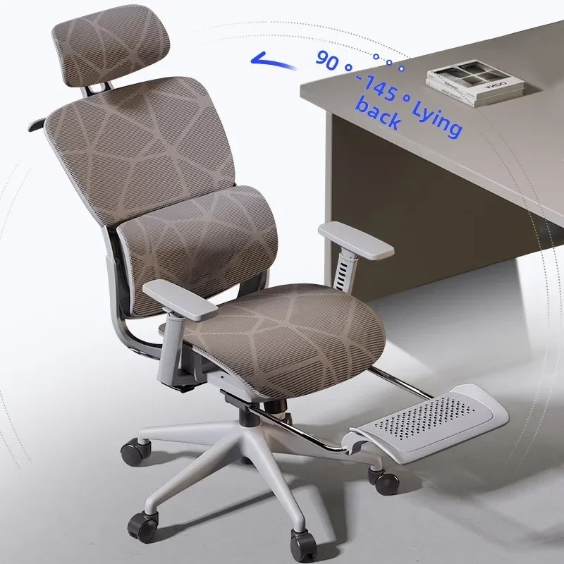 Stable Ergonomic Chair Home Co - Home Office Cozy 评论和价格