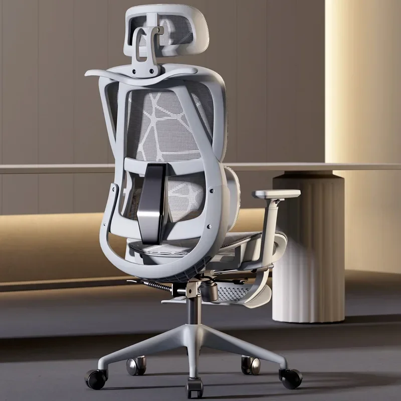 Stable Ergonomic Chair Home Co - Home Office Cozy 评论和价格