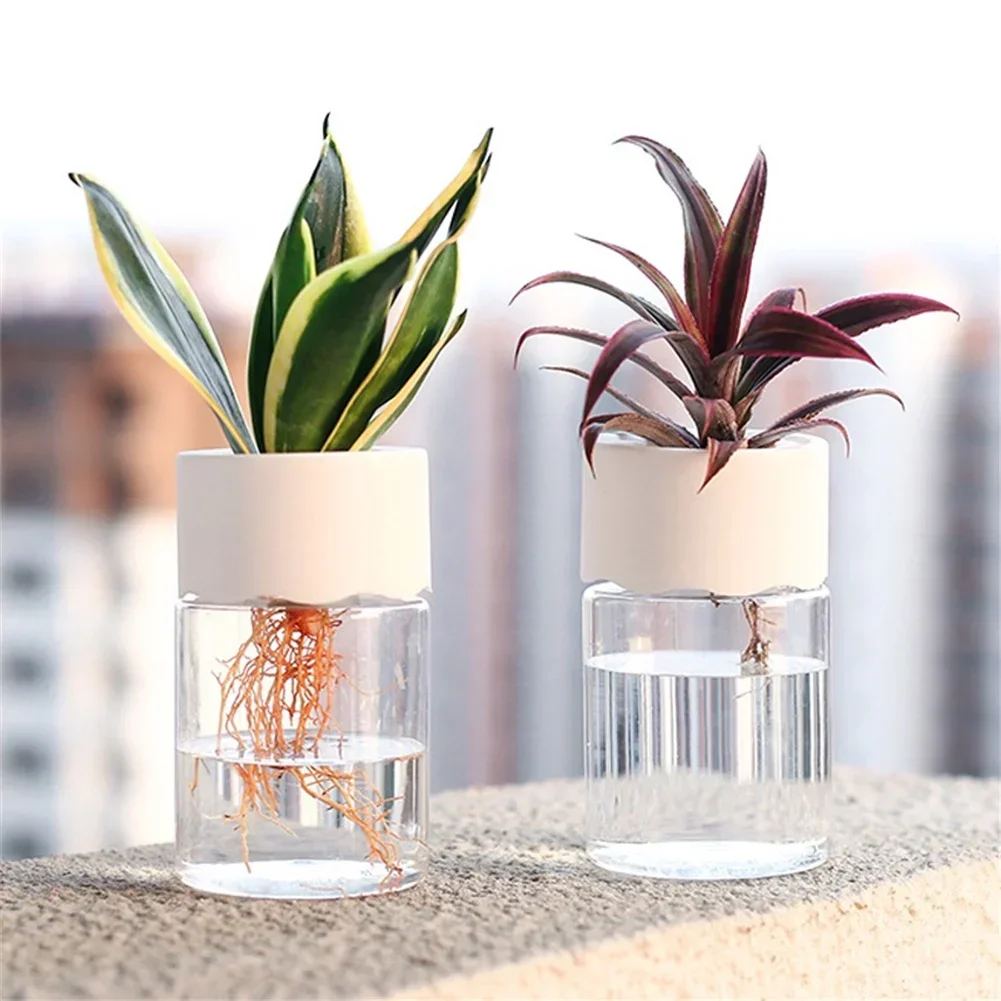 Mini Hydroponic Flower Pot Tra - Plant Desk Mini 评论和价格