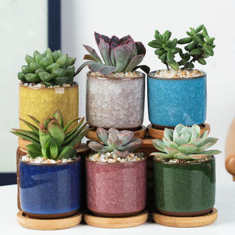 6pcs/set Ceramic Flowerpot Set - Plant Desk Mini 评论和价格