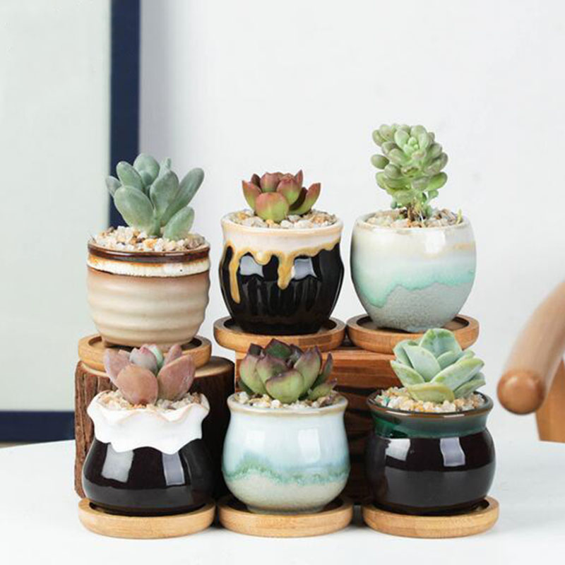 6pcs/set Ceramic Flowerpot Set - Plant Desk Mini 评论和价格