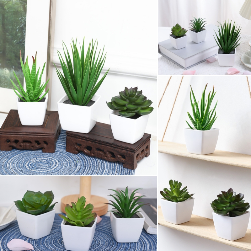 (A set of 3PCS) Simulated Mini - Plant Desk Mini 评论和价格