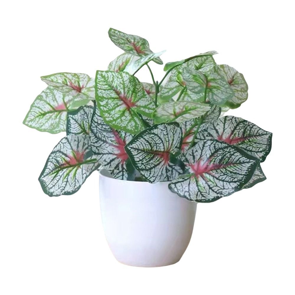 Mini Fake Potted Flowers Bonsa - Plant Desk Mini 评论和价格