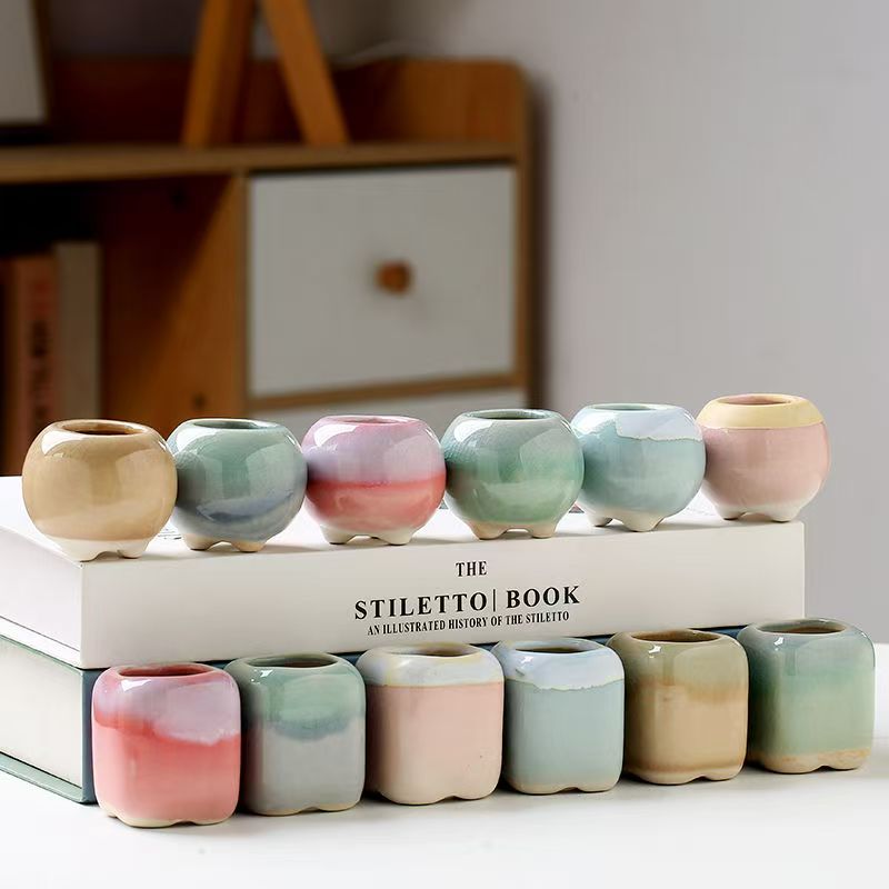6Pcs Mini Flowerpot Succulents - Plant Desk Mini 评论和价格